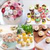 6PCS Piping Tips Set Flower Frosting Tips Nozzles Icing Tips Stainless Steel Flower Cake Icing Piping Nozzles Decorating Tips
