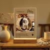 Personalized Custom Photo Pet Memorial Keepsake Sympathy Condolence Remembrance Gift In Loving Memory Of Beloved Dog Cat Meaning
