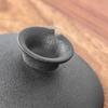 Nanshan Xiansheng Black Pottery Ceramic Gaiwan