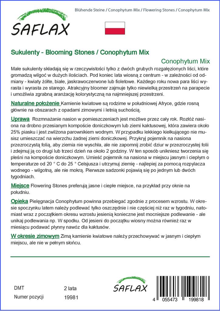 SAFLAX Garden In the Bag - Flowering Stones / Conophytum Mix - 40 Seeds - With Substrate In a Fitting Stand Up Bag - Conophytum Mix
