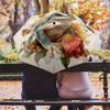 Frog and Flowers pattern, automatic folding umbrella, portable and foldable design, 8 ribs, a Christmas or birthday gift.