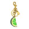 Keychain Pendant Grapefruit Lemon Slice Design Key Chain with Anti-Oxidation Lobster Clasp Scratch-Proof Surface Backpacks Accessory