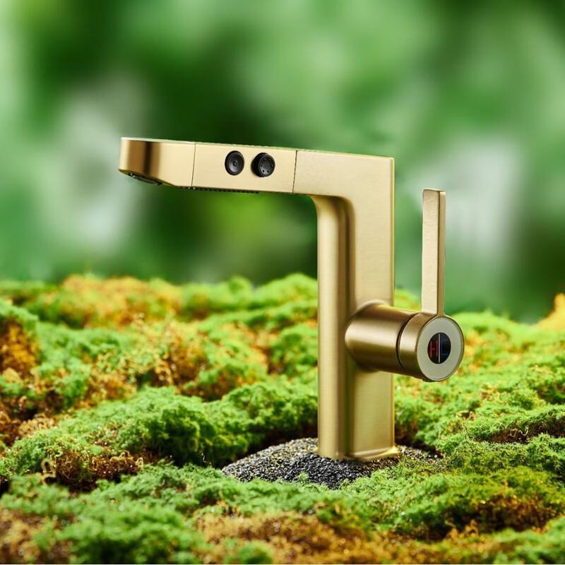 TLXT Light Luxury Brushed Gold Hot & Cold Basin Faucet