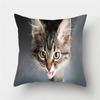 Cute Cat Print Decorative Cushions Pillowcase Polyester Cushion Cover Throw Pillow Sofa Living Room Decoration Pillowcover