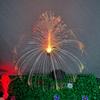 Cross-Border Solar Jellyfish Fiber Optic LED Landscape Light for Outdoor Courtyard