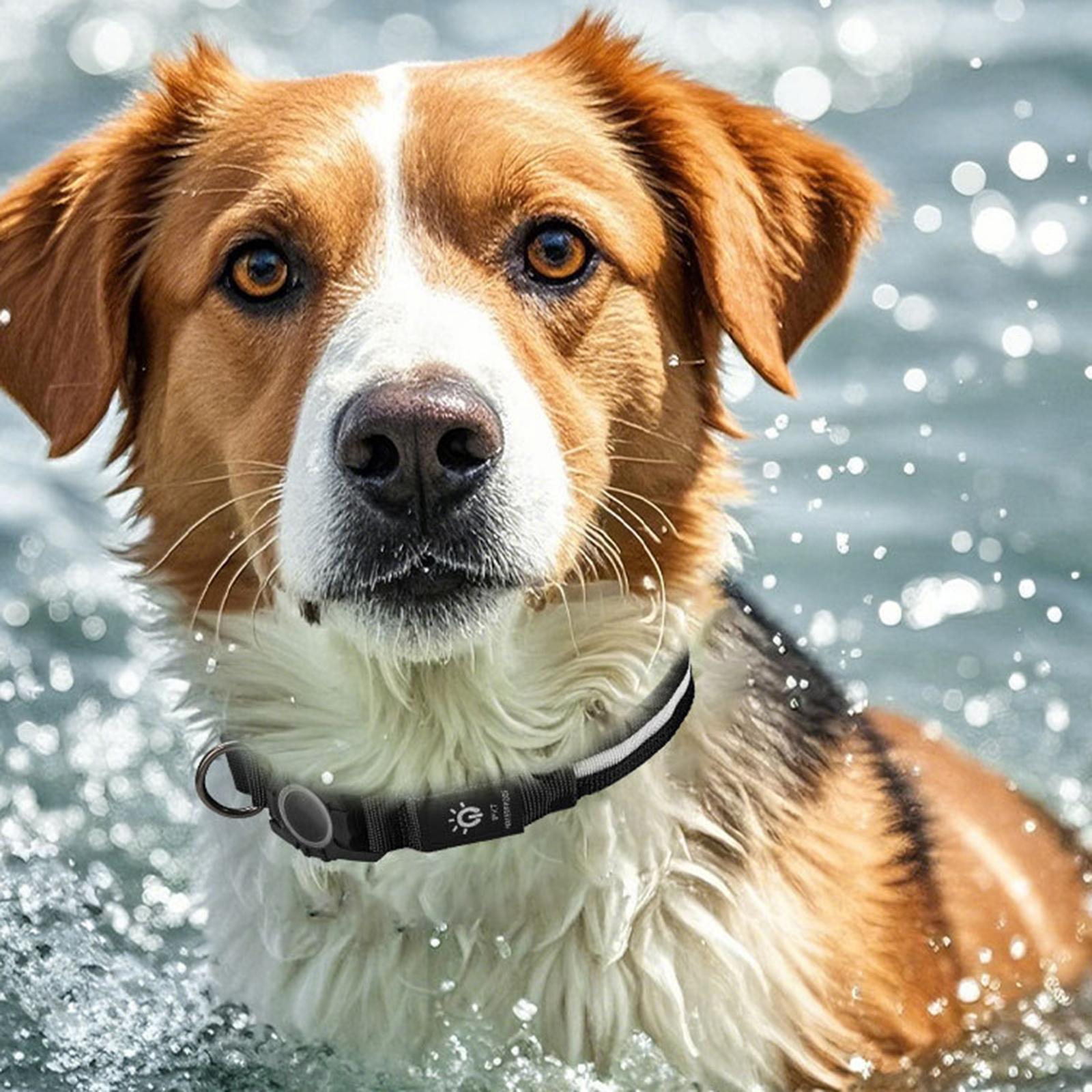 

LED Light Nylon Pet Dog Neck Collar with Protective Cover for AirTag Tracker (CE Certified) Red Light/S