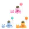 Interactive Cat Toy Rotating Ball and Cat Catmint Ball Indoor Keep Cats Active Entertained&Mentally Stimulated for Home