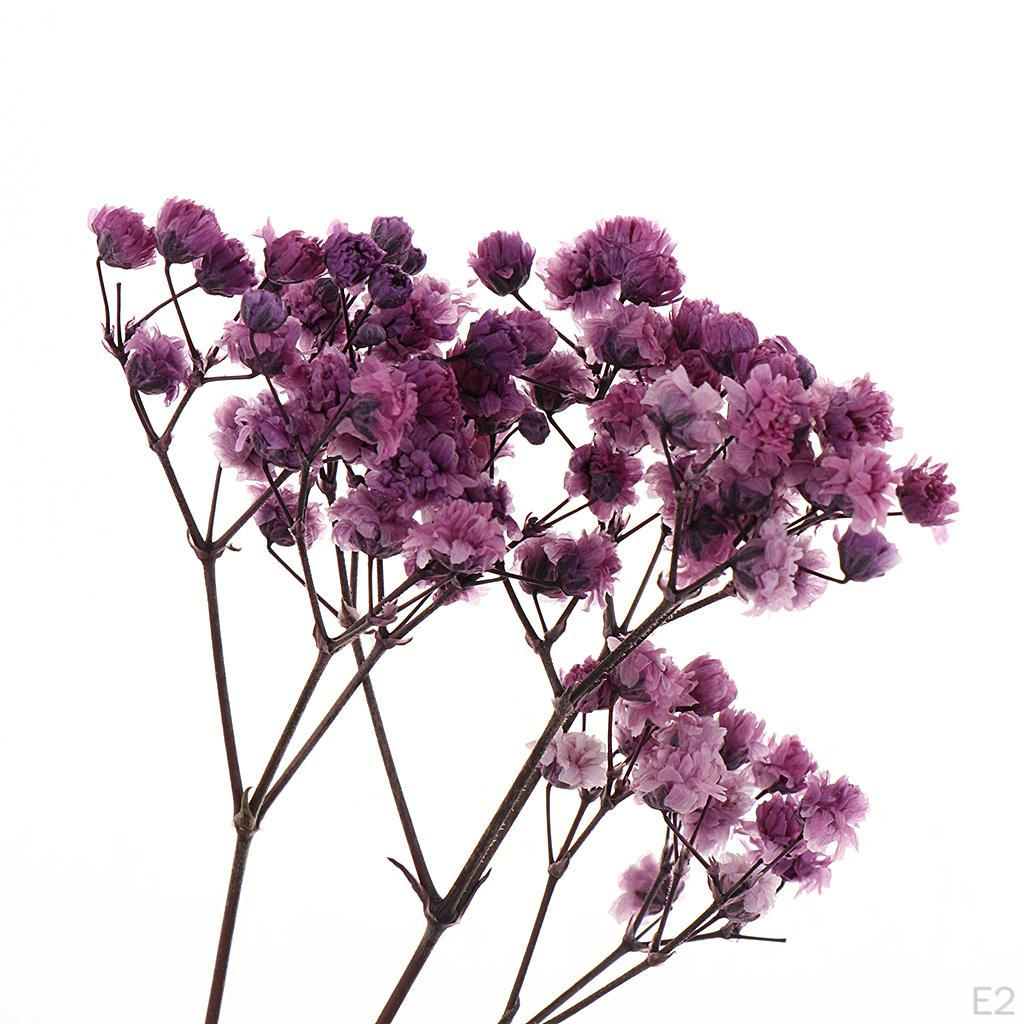 Getrocknet für Bouquet, Accessoires,