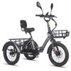 FAFREES F20 Mate Electric Tricycle 48V 23.45Ah Battery 500W 20 Inch Tires With Mirror And Rear Basket