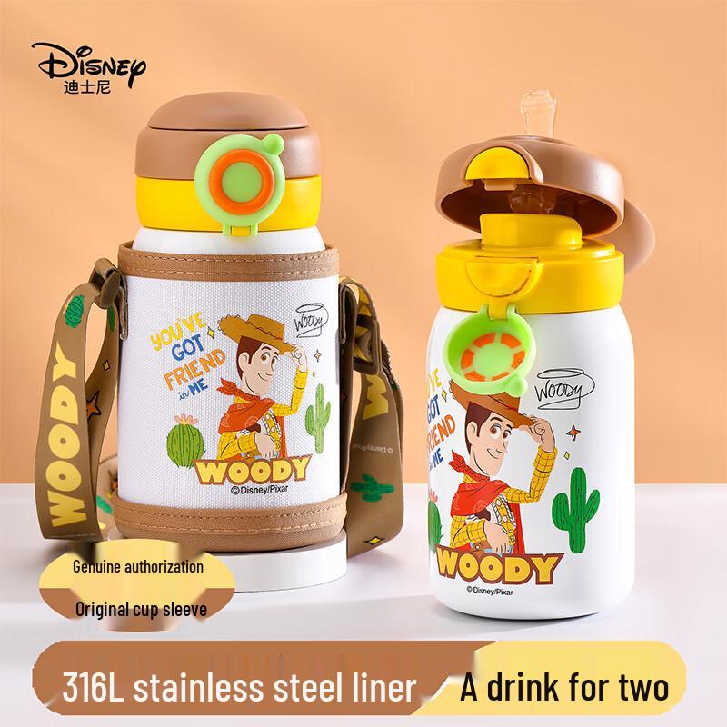 Disney Kids' 316 Stainless Steel Dual-Drink Insulated Bottle