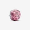 Rosa rose i blomst sjarm