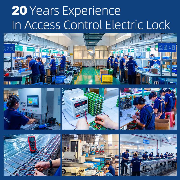 DC12V Durable Key Operated Electric Strike Fail-Safe/Fail-Secure for Metal/Stainless Steel Framed Doors