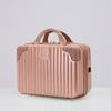 Vintage Rose Gold 14-inch Mini Travel Case
