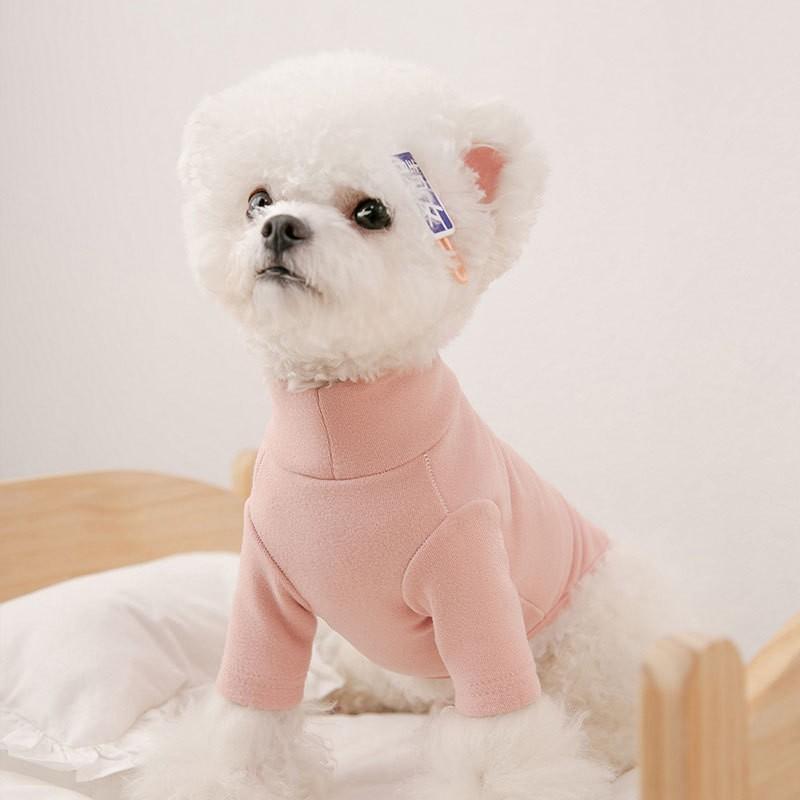Autumn and Winter Solid Color Versatile Bottoming Shirt, Spring Dog Two-foot Elastic Close-fitting Cat Clothes, Pet Dog Knitted Sweater