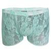 Men Hollow Lace Mesh See Through Underwear Panties