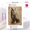 Vintage owl Pattern  3pcs 100% Round Full Drill 5D DIY Diamond Painting Embroidery Cross Stitch Rhinestone Décor