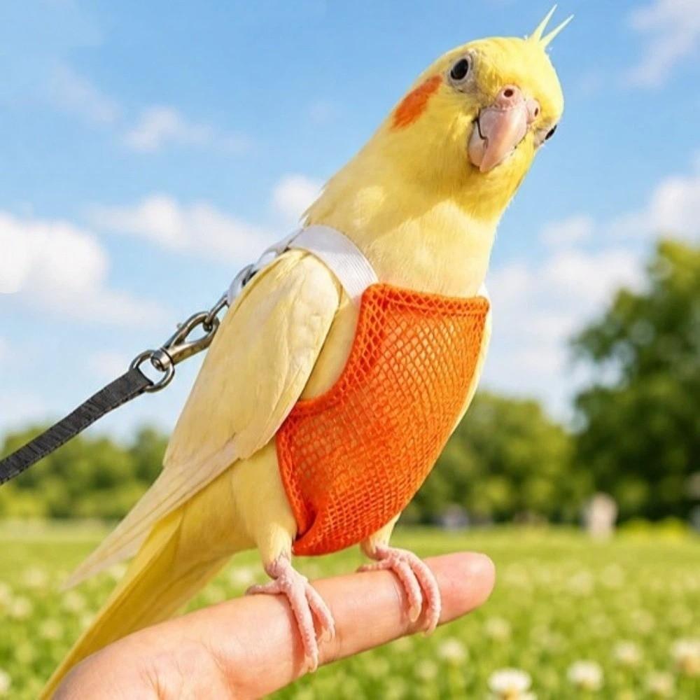 Leak-Proof Parrot Diaper Vest Breathable Parrot Flying Clothing Bird Flight Suit  Bird Training