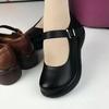 Retro Casual Leather Shoes Muffin Platform Spring New Mary Jane Shallow Mouth Single Shoes Round Head Shoes