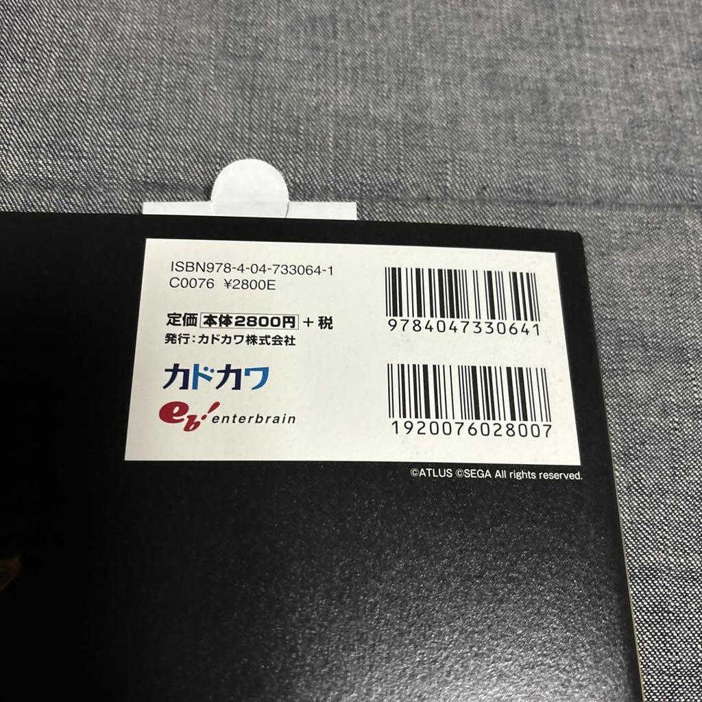 [USED] Dragon's Crown Art Book