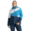 Dare 2B Womens/Ladies Ice Color Block Ski Jacket