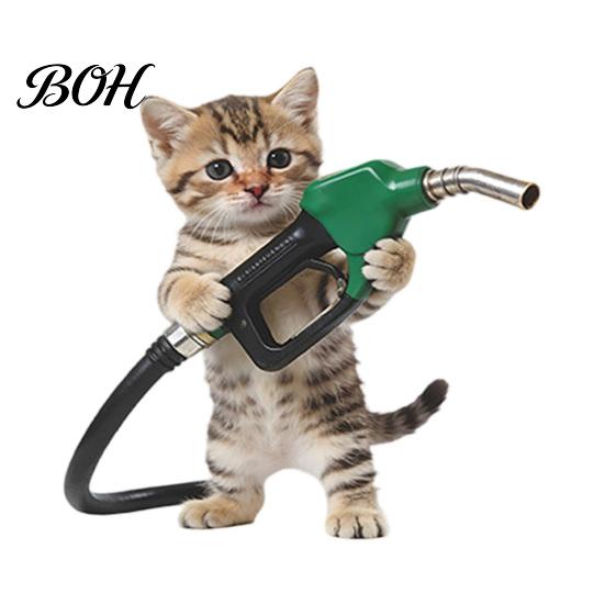 Automotive Fuel Cap Sticker Fun Sticker, Cute Dog Cat Mouse Car Waterproof Self Adhesive Animal Decal for Cars Windows Tailgate