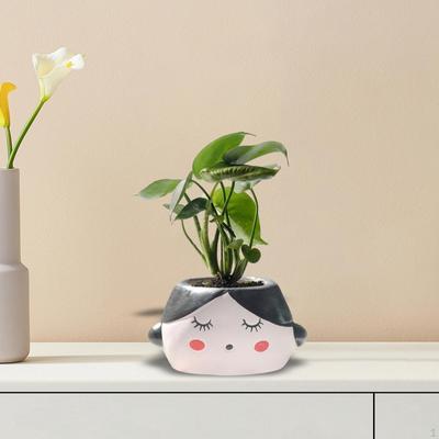 Ceramic Head Planter for Flowers, Nordic Flower Pot Home And Garden