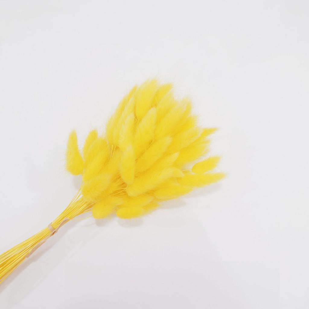Small Reed Dried Flower Bouquet Small Whisk Small Pu Reed Reed Dried Flower Rabbittail