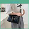 Elegant Urban Chic Small Handbag 2022 Spring Summer New Trendy Stylish Shoulder Bag