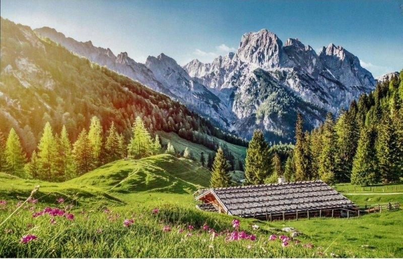 Puzzle 500 pieces B-53360 Summer in the Alps