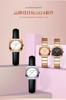 Hannah Martin Watch Stylish Classic Simple Watch Business Quartz Waterproof Watch Rose Gold Black Plate and Women's Women's (Black White) [Item]