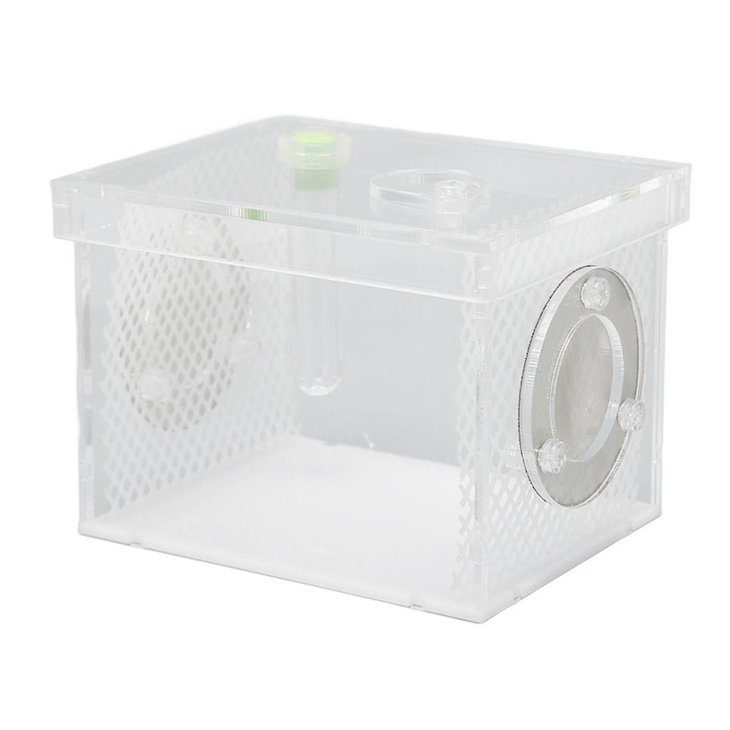 Reptile Insect Enclosure Tank Mini Acrylic High Transparency Moisturizing Reptile Insect Breeding Box S