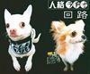 CD JINKAKU RADIO  Kairo JRYN1126 NOT ON LABEL 2002 Japan Japanese PopRock Used