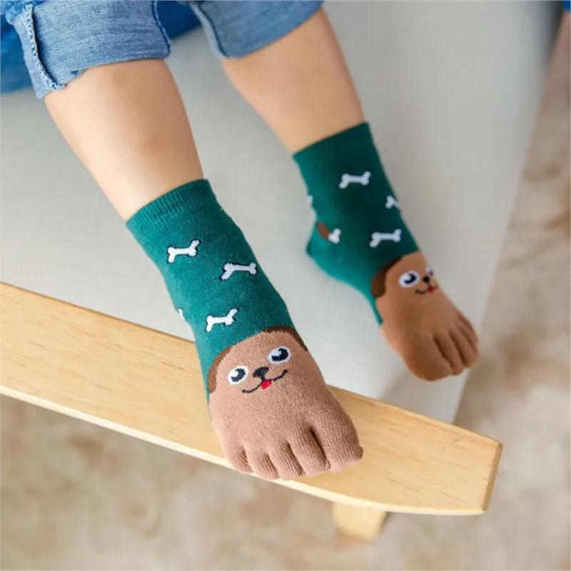Kawaii Children Socks Cotton Animal Pattern Boys Girls Socks Toe Socks for Kids Five Finger Sock Winter Fall  New