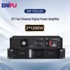 DAIPU DP-TS2120 Digital Stereo Power Amplifier (CN Version)