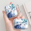 Clear Earphone Cases Cover Case For Airpods 4 3 Pro2 Pro3 2 Pro 1 Marine Turtles
