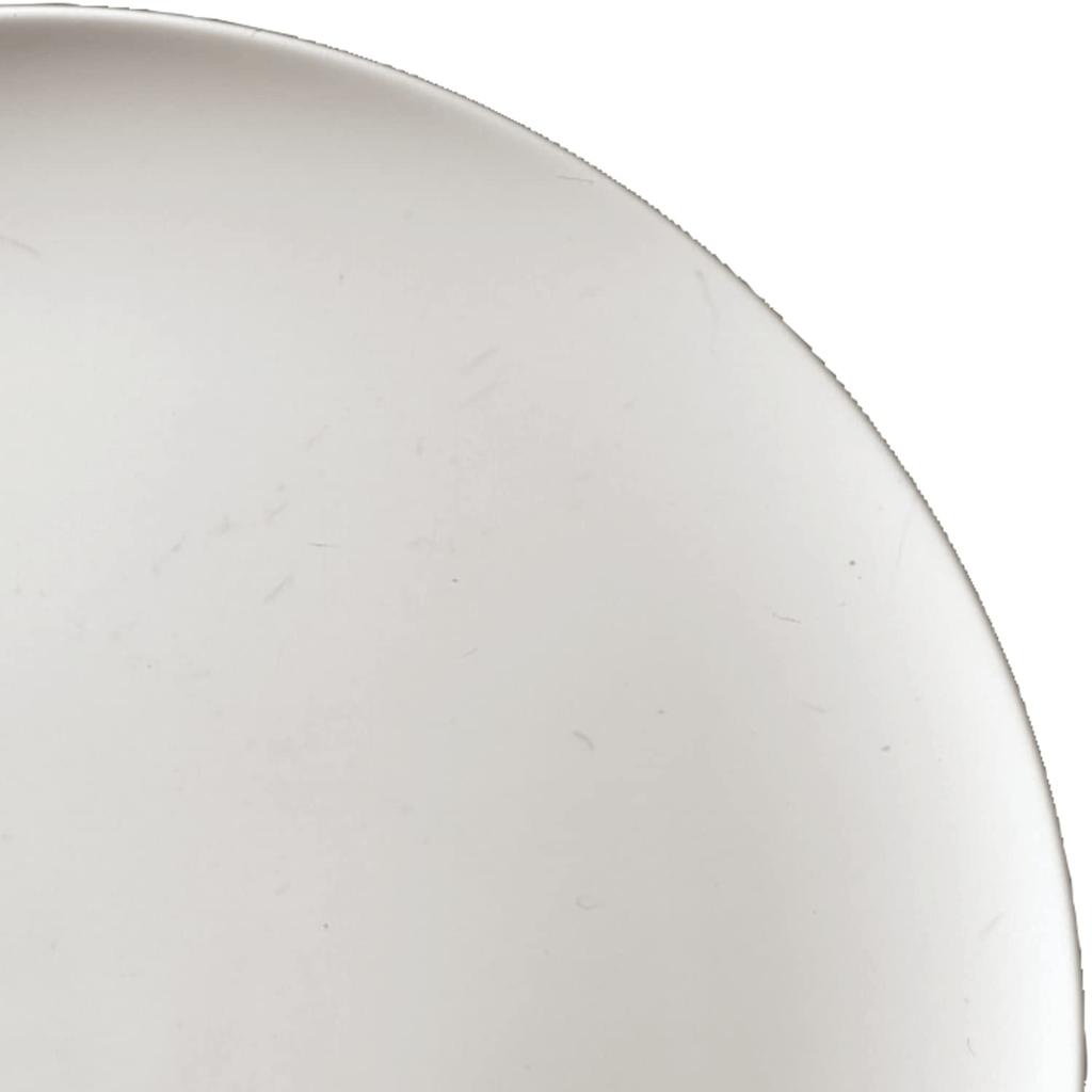 Noritake N4 27.5cm Flat Plate 5524A/1628