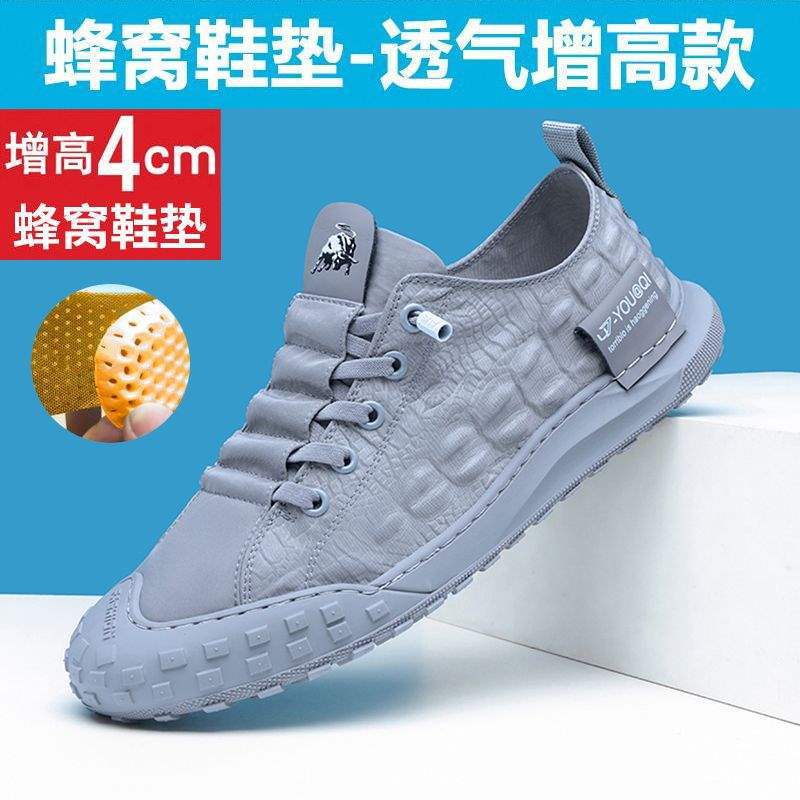 Ice Silk Cloth Shoes Men's 2025 New Summer Breathable Men's Versatile Casual Old North Cloth Shoes Korean Version of Trendy Board Shoes