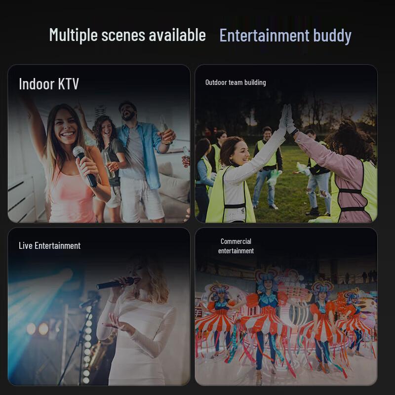 SANSUI K095 Portable Home KTV System with Display (CN version)