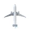 China Southern C919 Aircraft Model 46cm