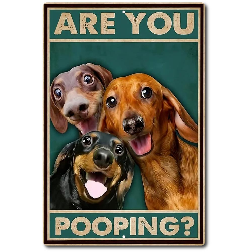 

Are You Pooping Metal Aluminum Sign 8 x12 Funny Bathroom Toilet Choose One DOG