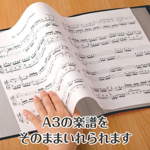 Large Capacity Clear File with 40 Pockets for Sheet Music and Document Organization, Perfect for Piano Notes, A3 Sheet Music, and More, with Side Pock