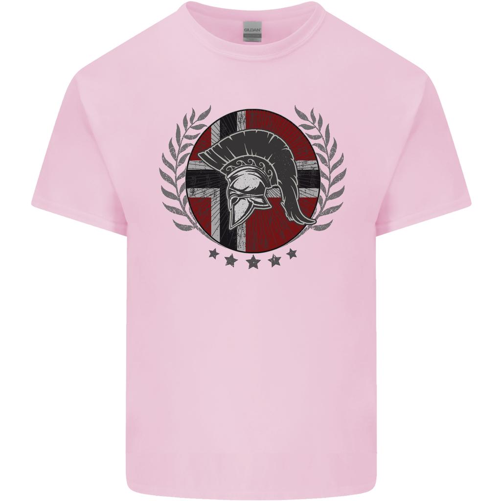 Norway Bodybuilding Flag Gym Training Spartan Unisexs Light Cotton TShirt