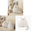 Peluche Gatto Persiano Bianco con Morcida Imbottitura in Cotone per Bambine e Bambini Regalo