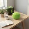 Squeezable Toys Meet The Tactile Needs To Tension, Anxiety And Stress