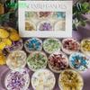 Mini Crystal Tealight Candle Herbs Energy Candles for Spells Guest Gift Scented Candle Wholesale