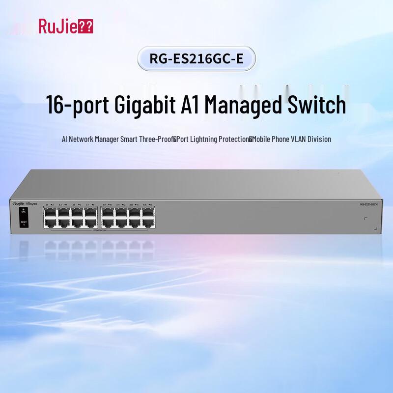 Ruijie Network Switch