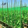 Trellis Netting for Tomatoes Climbing Plants Heavy Duty Plastic Garden Flexible Mesh Potted Plants Netting Plant Support Net Cucumbers Peas