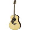 Acoustic Guitar Lefty LL16L ARE