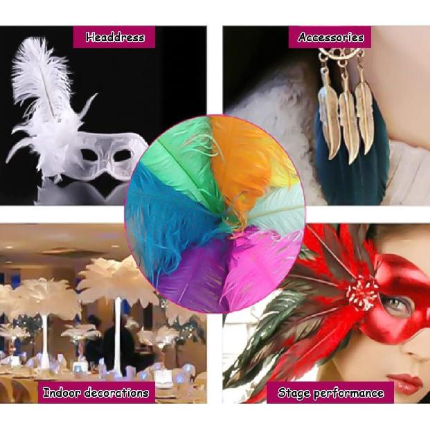 Pheasant Feathers 10 Pieces, White Natural Pheasant Feathers Decorative Chicken Tail Feathers for DIY Crafts, Birthday, Wedding Party Centerpieces,