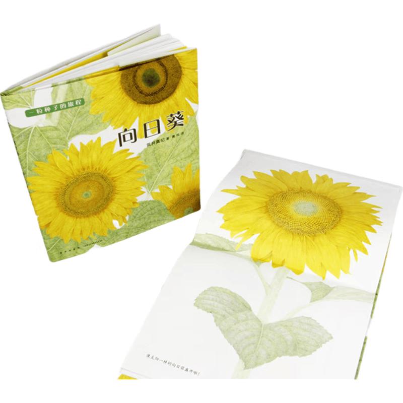 The Journey of a Sunflower Seed Children s Book